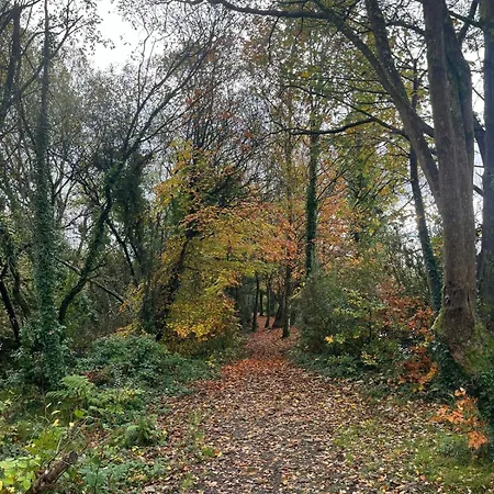 Charming East Clare * Coolcoosaun