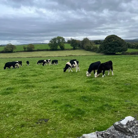 Apartamento Charming East Clare