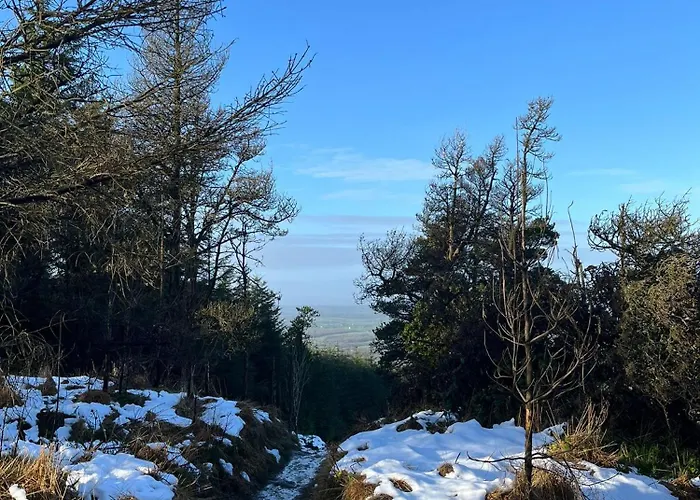 Charming East Clare Апартаменты Coolcoosaun